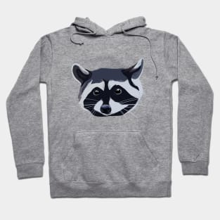 Raccon Hoodie